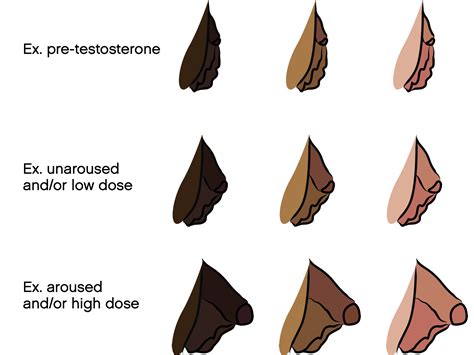 bottom growth before and after|Does anyone have pictures/diagrams of bottom growth ...